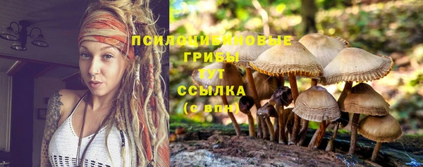 трава Балахна