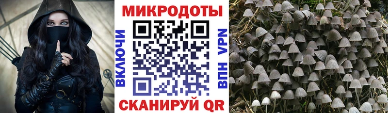 Псилоцибиновые грибы Cubensis  blacksprut зеркало  Чистополь  как найти  